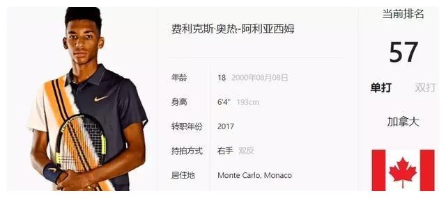 境内外媒体 境内外媒体